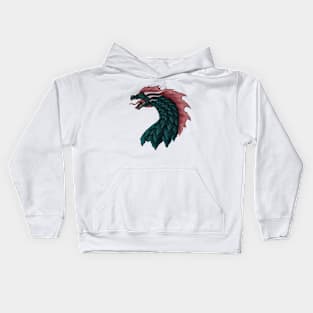 Dracos Kids Hoodie